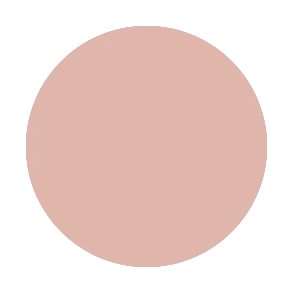 BB Cream Foundation